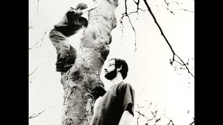 The Beta Band - Dry The Rain (Radio One Evening Session 1997)