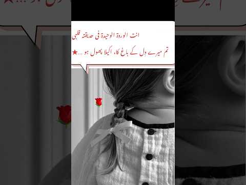 You are the only flower in the garden of my heart… ★🌹💖 #loveandtheemperor #blossominheart