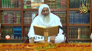 البخاري كتاب القدر ح 6594 إلى ح 6600 لفضيلة الشيخ مصطفى العدوي