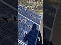 Solar Panel Demag सोलर पलेटे टूट गई Shorts Solarpanel Solar Tusiyatech