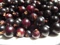 How to Make Blackcurrant Jam