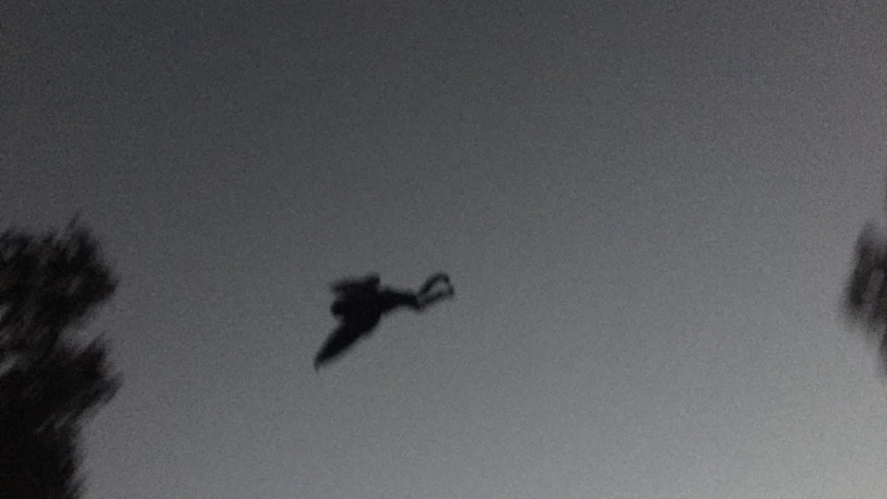 Scary #shorts story about the most recent sighting of the Mothman in Point Pleasant, WV