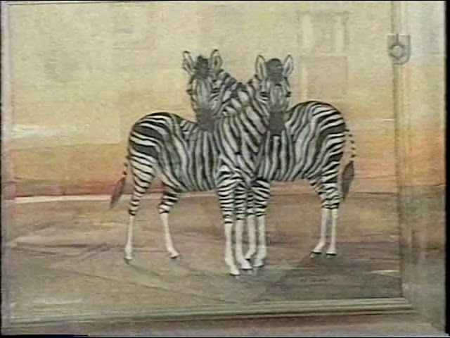 Vídeo relacionado con YOFIEN Braguitas Elegantes con Estampado Animal de Cebra, Color Negro, Dorado y Blanco, para Mujer, con Bolsa de sujeción, cómodas y Suaves.