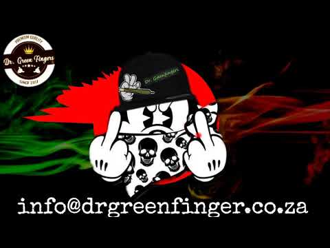 Lil Def Ft. Lil windex - Small Talk