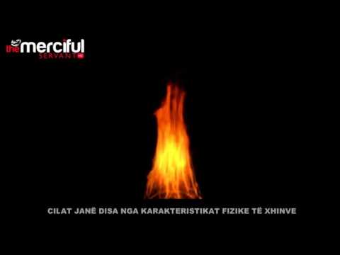 Fuqia e Xhinëve - Froni i Belkisës