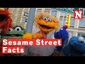 Sesame Street 7 Things You Didn T Know