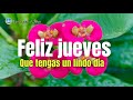 feliz jueves ❤️bonito video de buenos días para ti 🙏🏻ten un hermoso día