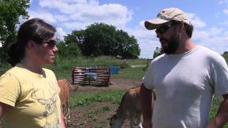 preview picture of video 'A Visit to Stony Pond Farm (part one)'