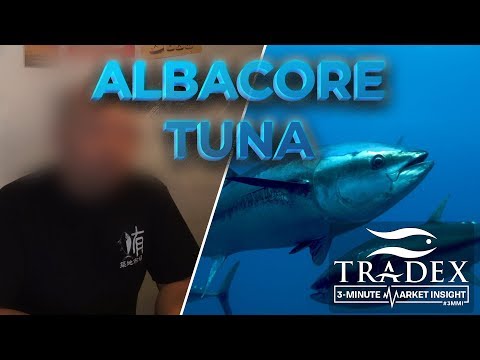 download lagu mp3 mp4 Fresh Tuna For Sale Washington, download lagu Fresh Tuna For Sale Washington gratis, unduh video klip Fresh Tuna For Sale Washington