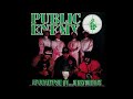 Public Enemy - Lost At Birth