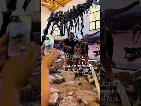 🦕 ¡Feliz aniversario, Villa El Chocón!