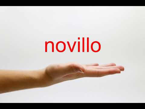 How to Pronounce novillo - American English