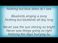 Rod Stewart - Blue Skies Lyrics