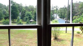 The Wasp Epic - The Demise