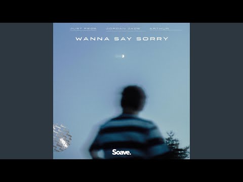 Wanna Say Sorry
