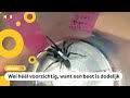 Eng (maar wel belangrijk) onderzoek naar dodelijke spin