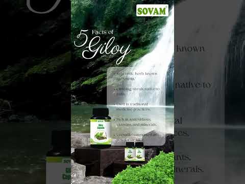 Giloy herbal Drop