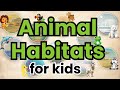 Habitats For Kids Learn All About Rainforest Ocean Desert Forest Mountains More