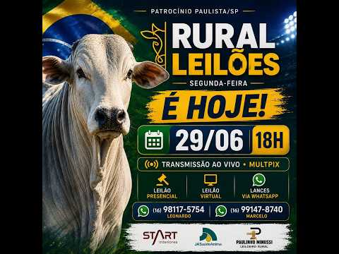 📌 Leilão Virtual e Presencial Rural Leilões - Patrocínio Paulista/SP