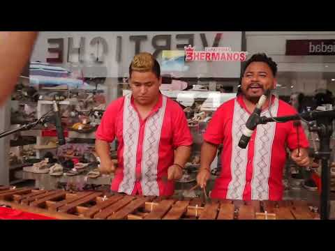 Arturo Aquino #ElSapo