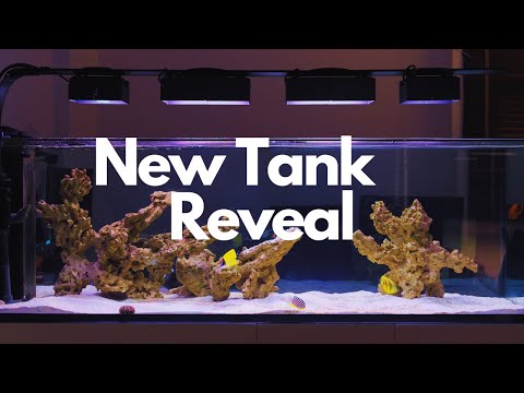 BRAND NEW 200g WATERBOX 7225 PENINSULA FOWLR (maybe Reef?) TANK!