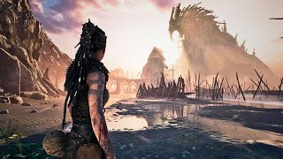 Hellblade Senua's Sacrifice | Core 2 Quad Q8400 2.66ghz | Amd Radeon R5 240 1GB | 8GB Ram!