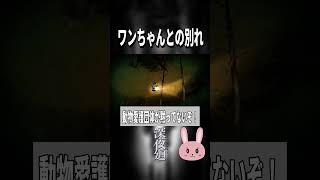 【深夜廻】ボスに狙われ大ピンチ！ワンちゃんとの別れ… #shorts