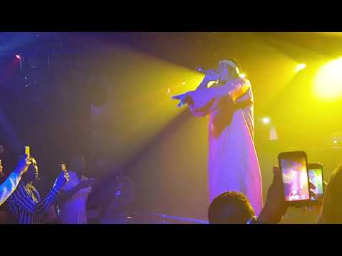 50 magate; enzo ishall Melbourne live performance