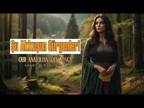 Şu Akkuşun Gürgenleri - Anonim Türküler  '' Anatolian Rock Cover ''