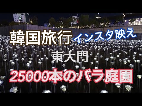[Coreia Travel DDP (LED Rose Garden) Dongdaemun Design Plaza