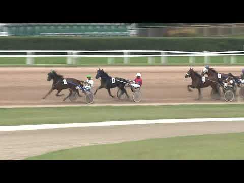 2020.07.25. 02. futam - ANDAL HENDIKEP