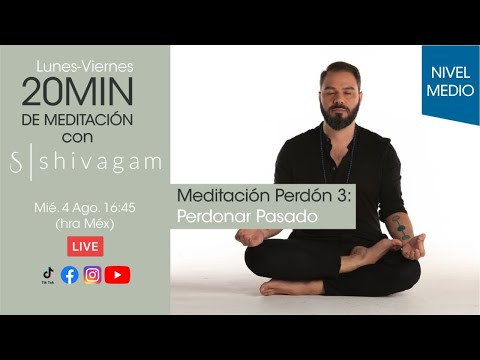 Perdonar tu pasado. 20 min de meditacion con Shviagam