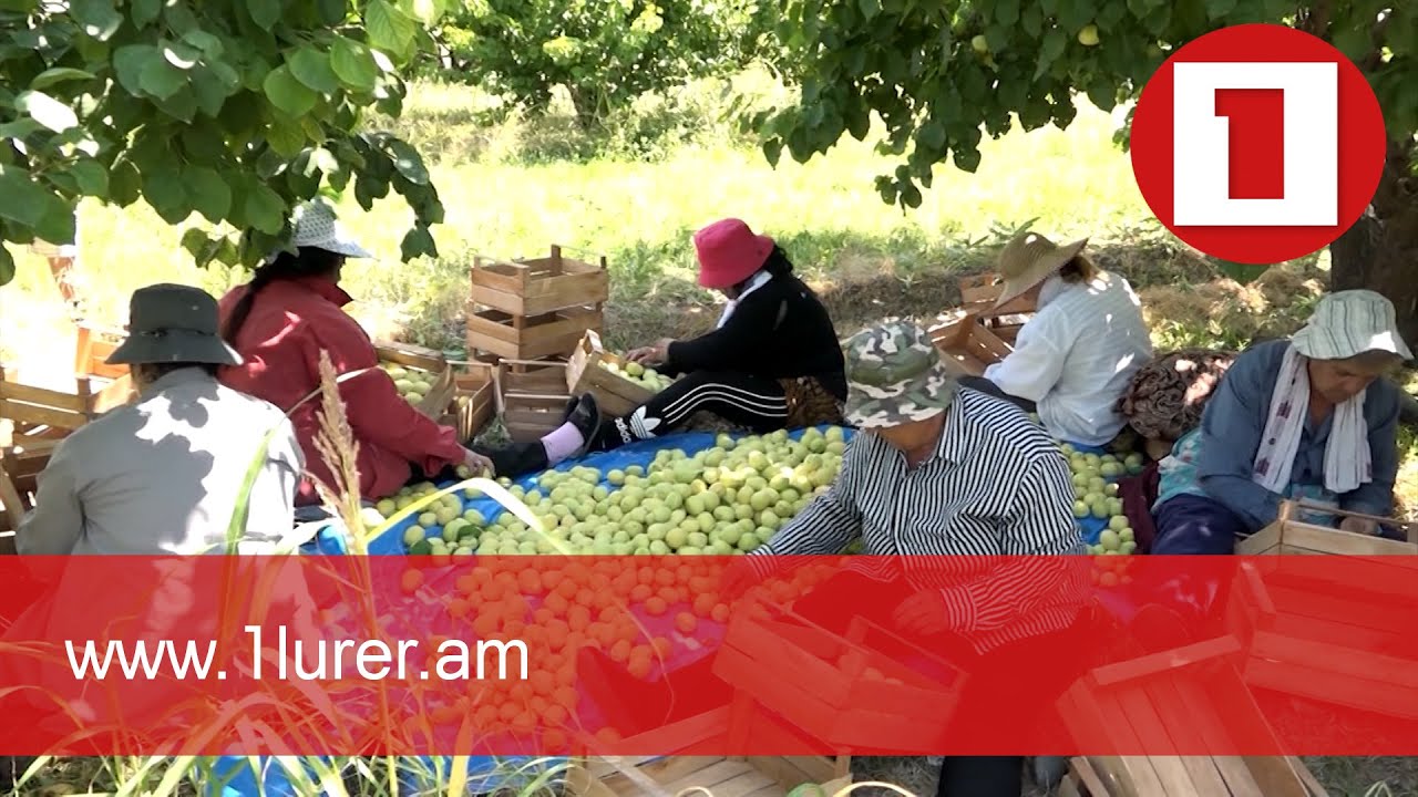 Անտոկոս վարկ՝ գյուղմթերք արտահանողներին