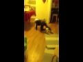 Dina Danser