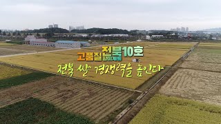 고품질 향미계통 전북10호, 전북쌀 경쟁력을 높인다