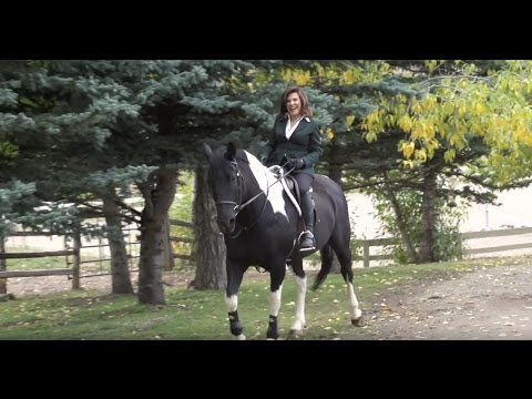 39 Acre Old Snowmass Colorado Ranch For Sale - Winstar Preserve