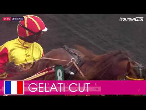 Välkommen till Elitloppet 2021 - Gelati Cut!