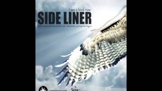 Chill Out: Side Liner - I Am A Bird Now (full album dj mix)