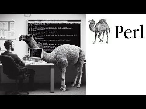 why I want to learn Perl in 2024?