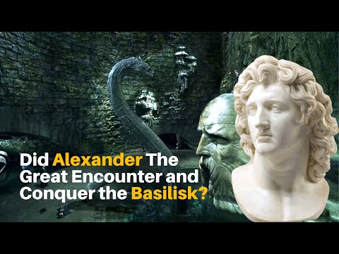 Exploring the Unseen: Legends of the Basilisk || Animal5000