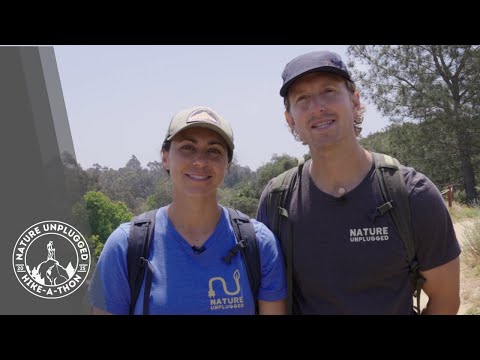 Play Video Youtube Video