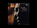 Muddy Waters ~ Garbage Man