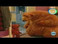 Bear En La Gran Casa Azul Español Latino