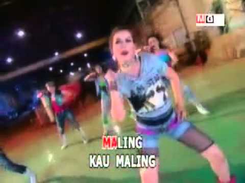 MALING nita thalia @ lagu dangdut