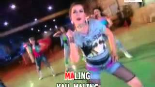 Download lagu MALING nita thalia @ lagu dangdut mp3 Download lagu MALING nita thalia @ lagu dangdut mp3