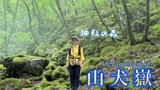 I want to go during the rainy season! A famous spot for moss, Yamainudake. A mysterious moss forest