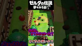 さては仲悪いな？  #ゼルダの伝説 夢をみる島 #夢を見る島  #ゼルダの伝説 #ゲーム実況 #実況 #Shorts
