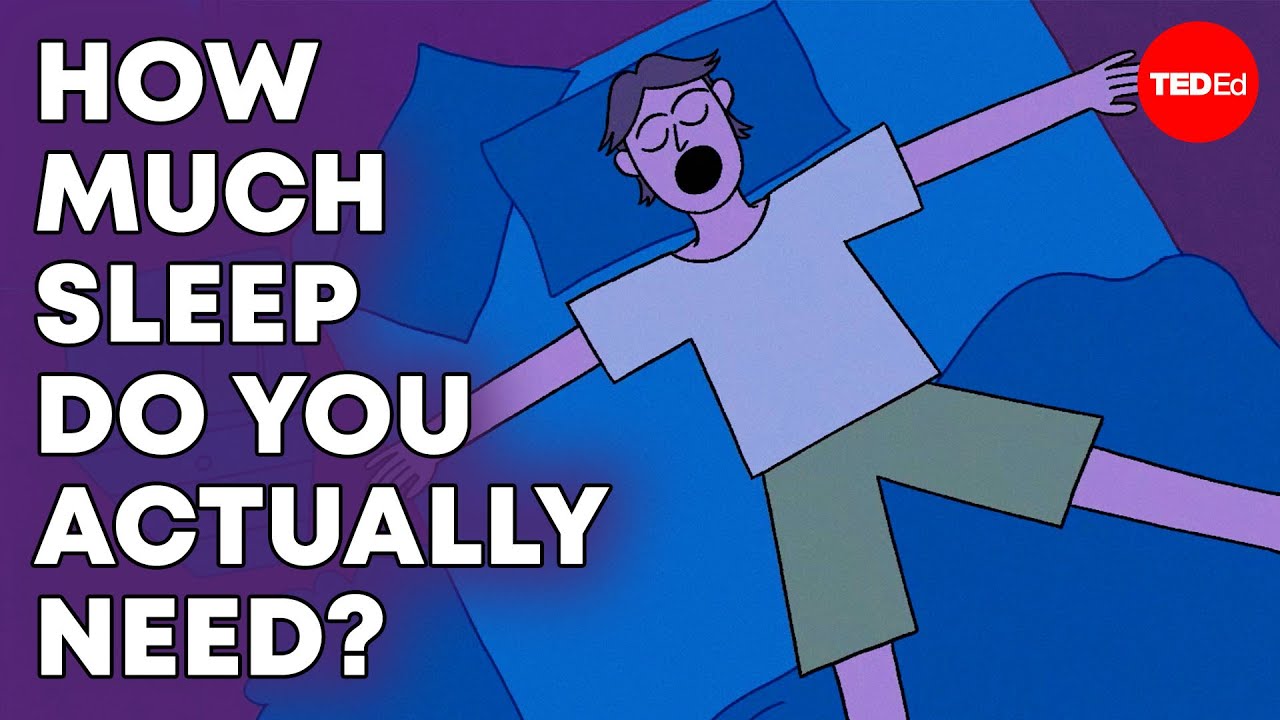 What sleep deprivation does to the teenage brain - Wendy Troxel