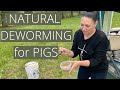 How we deworm our pigs naturally!