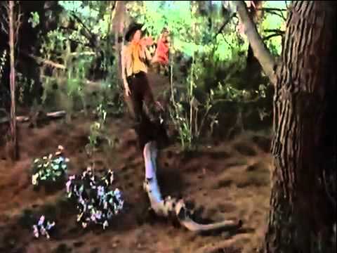 download lagu mp3 mp4 Freddie The Flute, download lagu Freddie The Flute gratis, unduh video klip Freddie The Flute